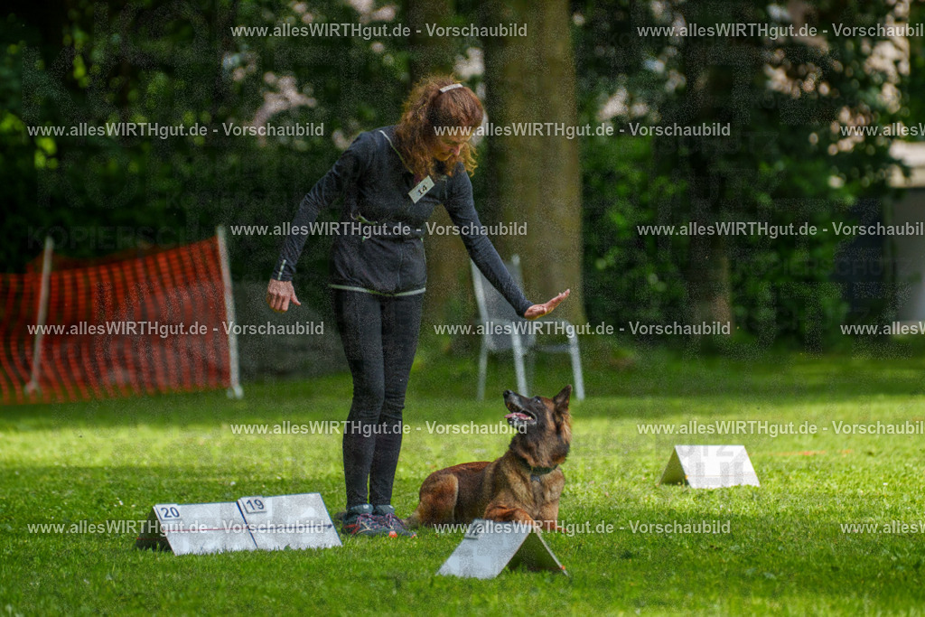 @allesWIRTHgut_Tierfotografie - www.allesWIRTHgut.de - 7R503739 | Professionelle Tierfotografie in Mönchengladbach von Daniel Wirth (allesWIRTHgut). Liebevolle & natürliche Bilder von Hunden & Katzen für unvergessliche Erinnerungen.