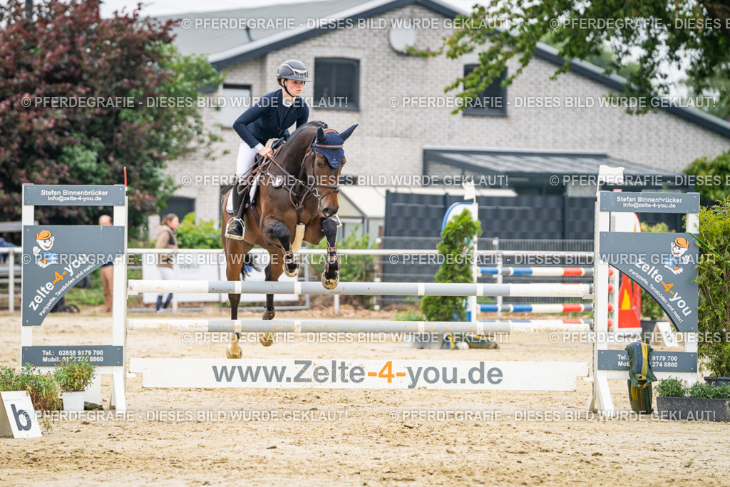 DSC00109 | Pferdegrafie