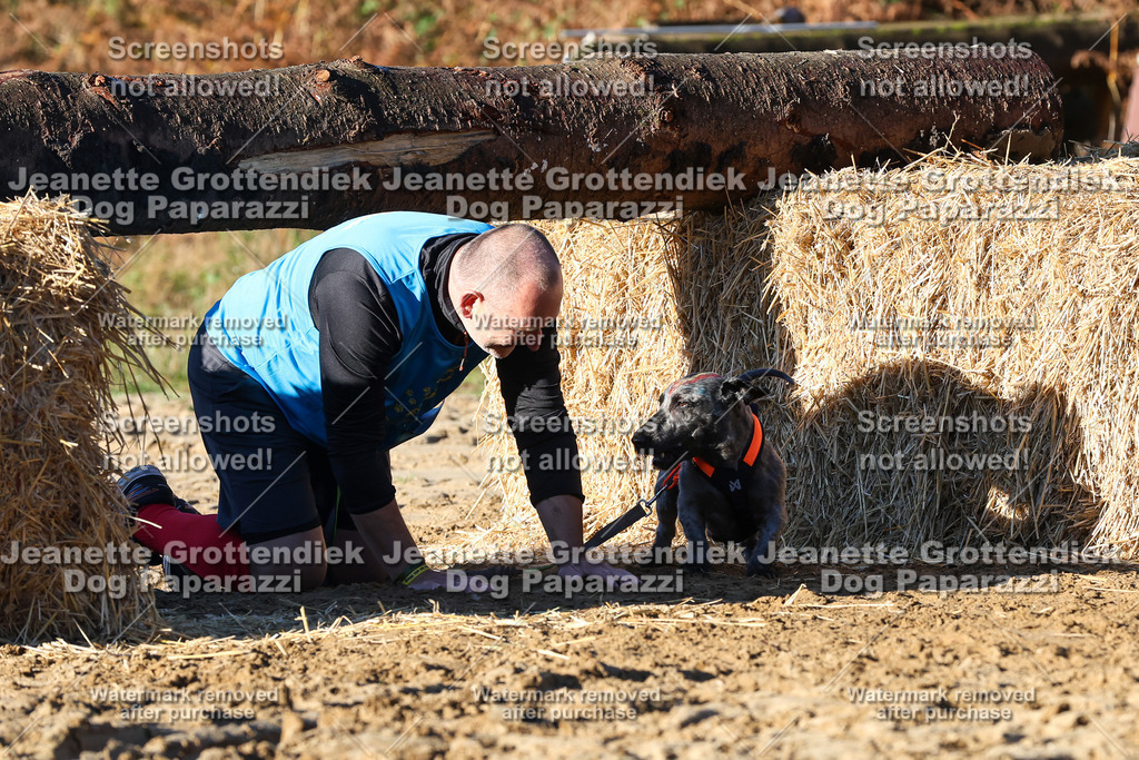 Dog Paparazzi - Strongdog 10-25-1347 | Dog Paparazzi Jeanette Grottendiek Fotografie & Videografie - Realisiert mit Pictrs.com
