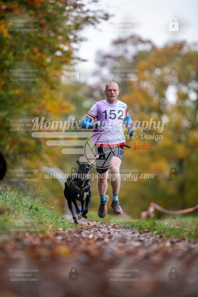 DBT_DAKM_SA_4_11_2023_Canicross-42 | PayLife