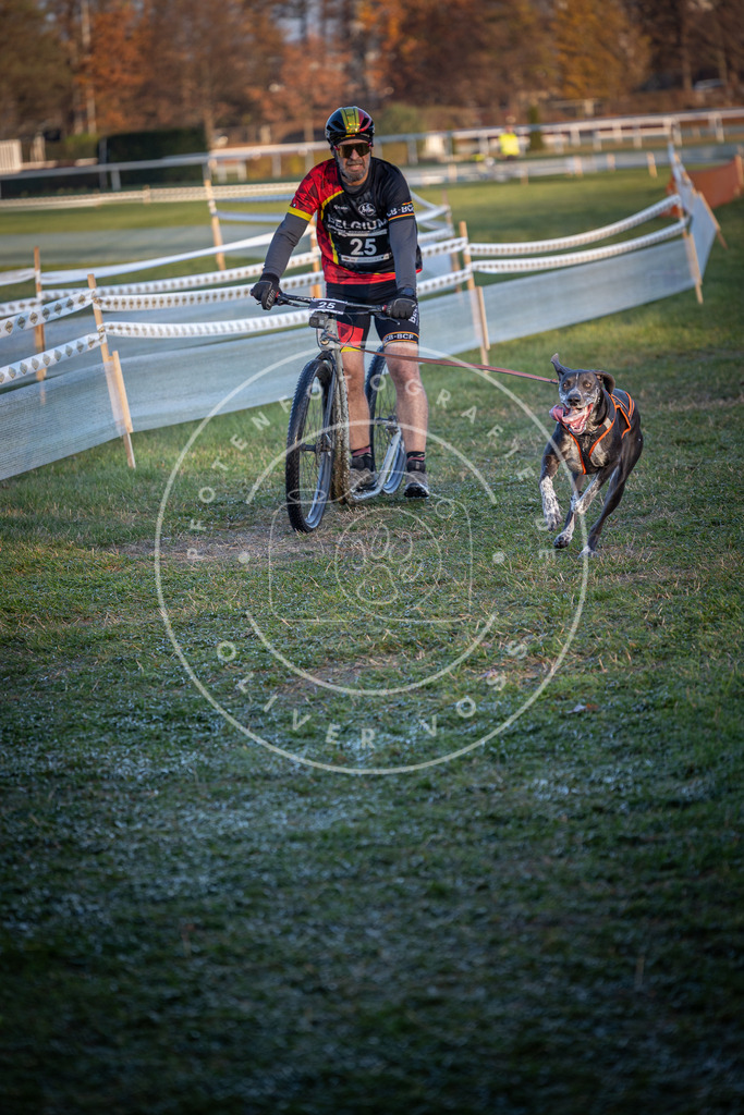 CaniXpix_0L8A1729 | Hundefotografie, Tierfotograf, Pfotenfotografie, Fotoshooting Hund, Hunde Portrait, Hundesport, Hundeportraits, Heideshooting, Hunde, Sportfotograf, Hundefotograf, Turnierhundsport, THS,  - Realisiert mit Pictrs.com