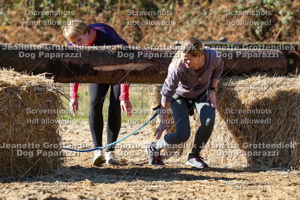 Dog Paparazzi - Strongdog 10-25-2773 | Dog Paparazzi Jeanette Grottendiek Fotografie & Videografie - Realisiert mit Pictrs.com