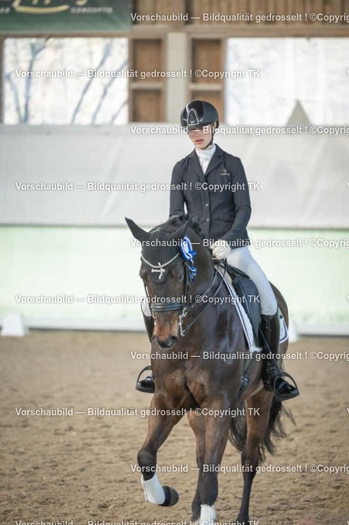 _D5A4551 | Emotionale Pferde- & People-Fotografie rund um Heidelberg, Leimen & Umgebung. Natürliche Fotos von Pferd, Mensch & Familie. Jetzt Termin sichern!