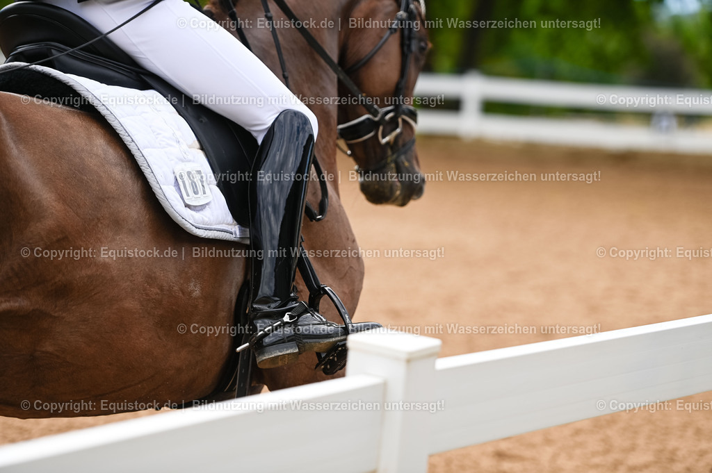 20230715_07_Dressurpferdeprfg. Kl.L_0053 | equistock