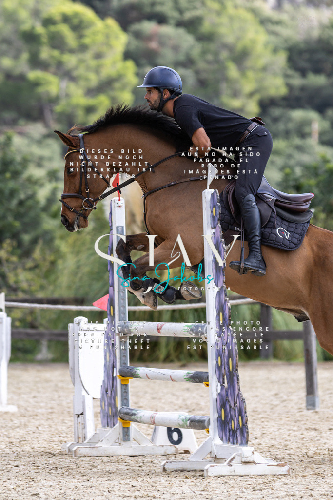 IMG_2821 | s-jay-photography - Realisiert mit Pictrs.com