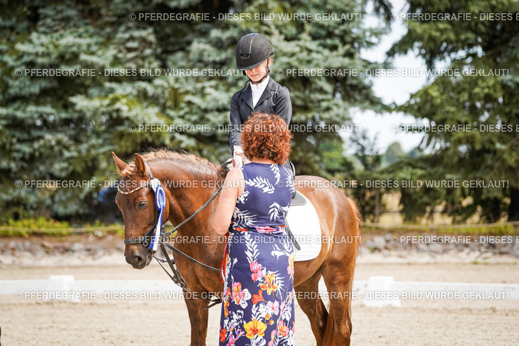 DSC02640 | Pferdegrafie