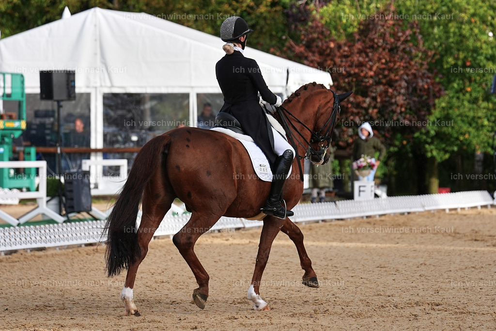 10-061-ST.GEORG SPECIAL -Marixx-3327 | working equitationturnier fotograf videograf stoibphotography marixx film working equitation deutschland reitsport turnierfotografie eventfotografie equestrian events