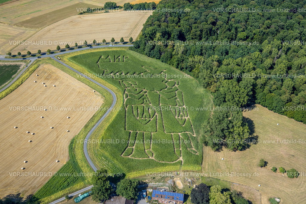 Selm220801043CappenbergBauerLuenemannMaislabyrinthPeace | Luftbild des Maislabyrinth auf dem Acker von Bauer Benedikt Lünemann in Cappenberg NRW, Thema ist der Krieg in der Ukraine. Die Worte MIR und PEACE und Friede steehen als Botschaft im Maisfeld, Cappenberg bei Lünen , Ruhrgebiet Deutschland