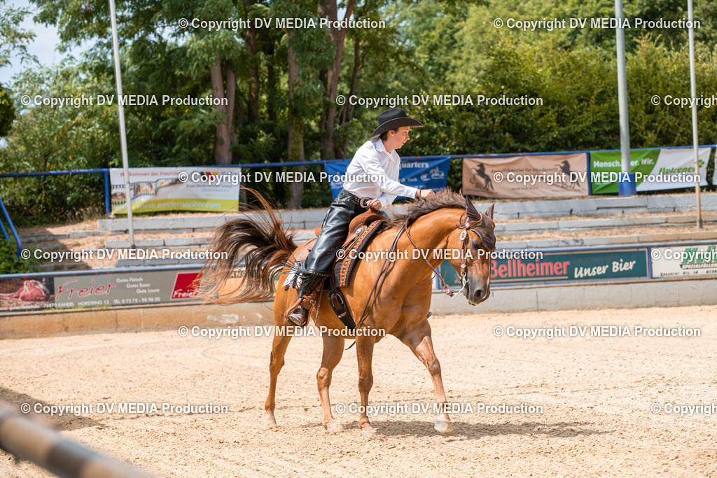 EWP_6239 | dv-media-shop - Realisiert mit Pictrs.com