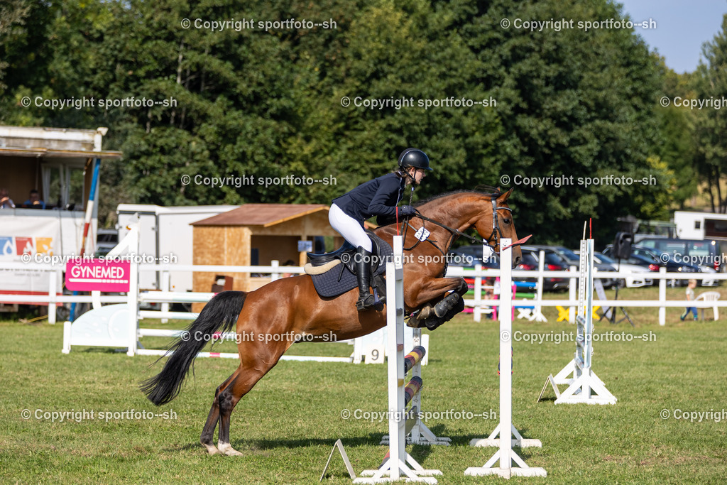 240831-VW-IS6A3499 | Sportfoto SH - Realisiert mit Pictrs.com