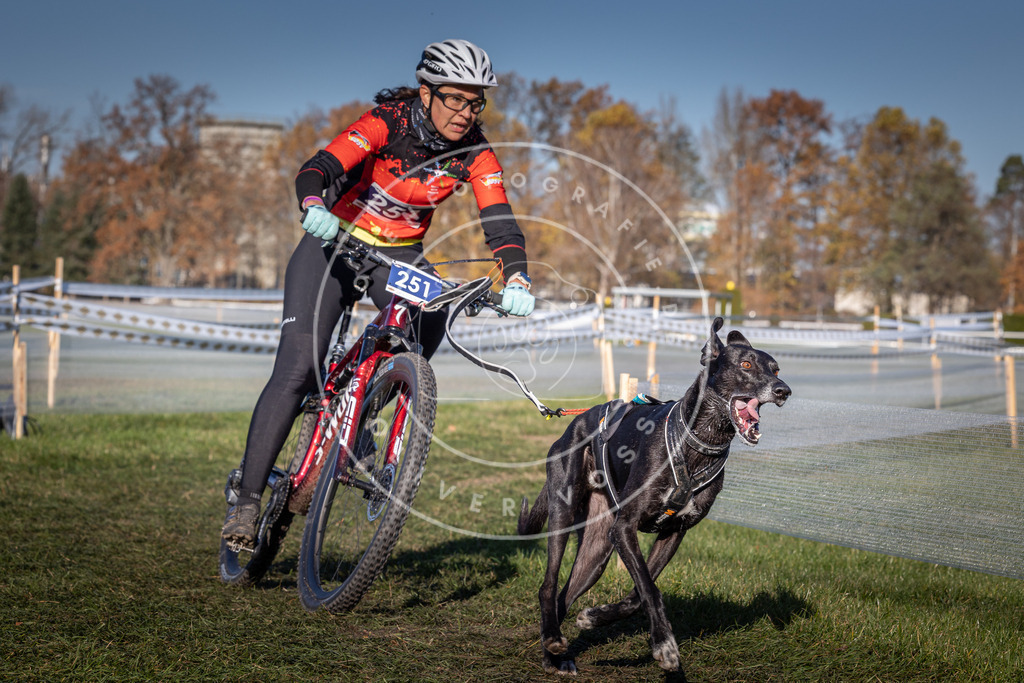 CaniXpix_0L8A4939 | Hundefotografie, Tierfotograf, Pfotenfotografie, Fotoshooting Hund, Hunde Portrait, Hundesport, Hundeportraits, Heideshooting, Hunde, Sportfotograf, Hundefotograf, Turnierhundsport, THS,  - Realisiert mit Pictrs.com