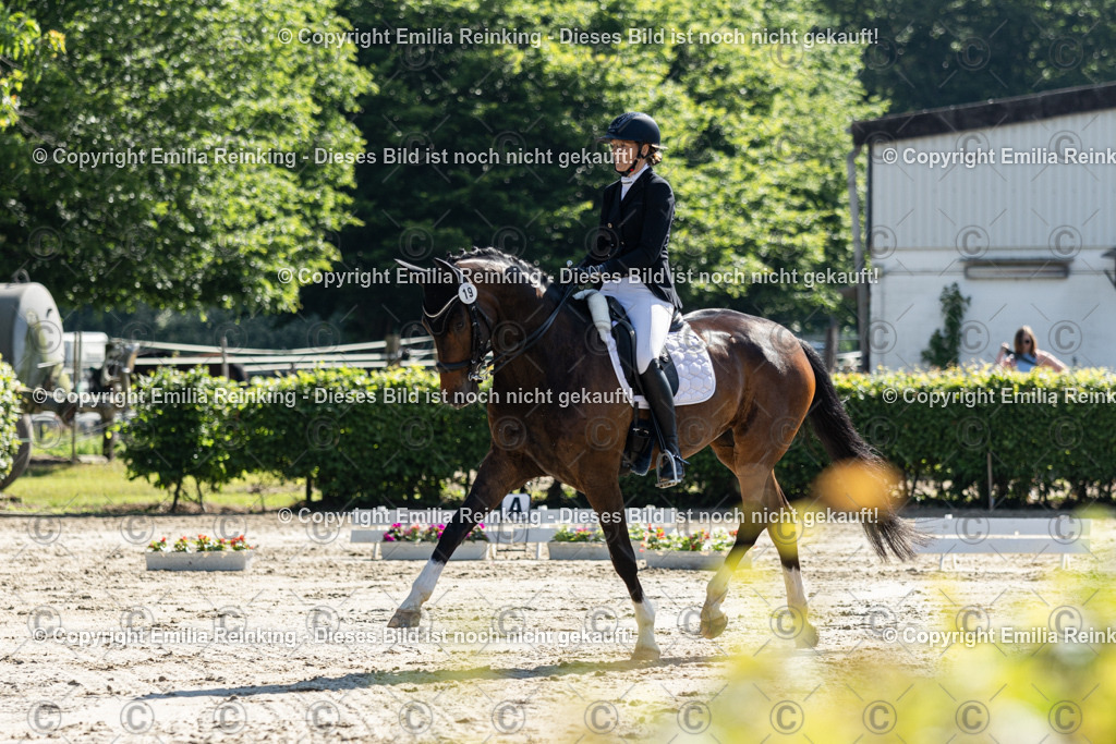 CL5A7071 | Emilia Reinking Fotografie - Realisiert mit Pictrs.com