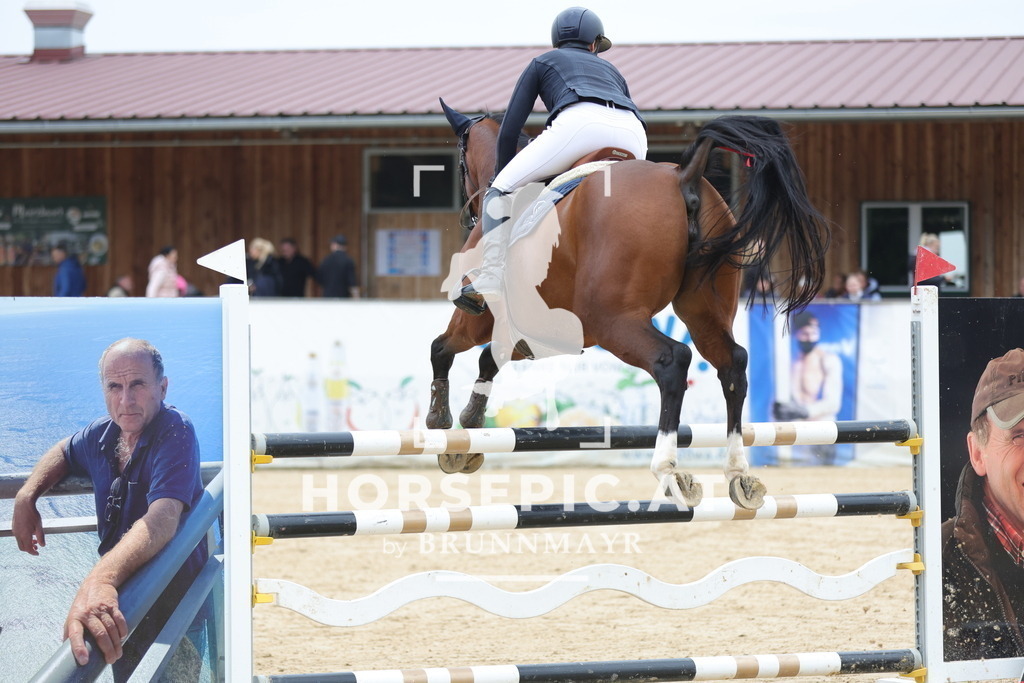 0P6A1714 | Willkommen bei Brunnmayr - Design & Fotografie – Ihrem Spezialisten für Reitturniere und Pferdeveranstaltungen in Oberösterreich, Salzburg und Bayern! Seit über 17 Jahren sind wir leidenschaftlich dabei.