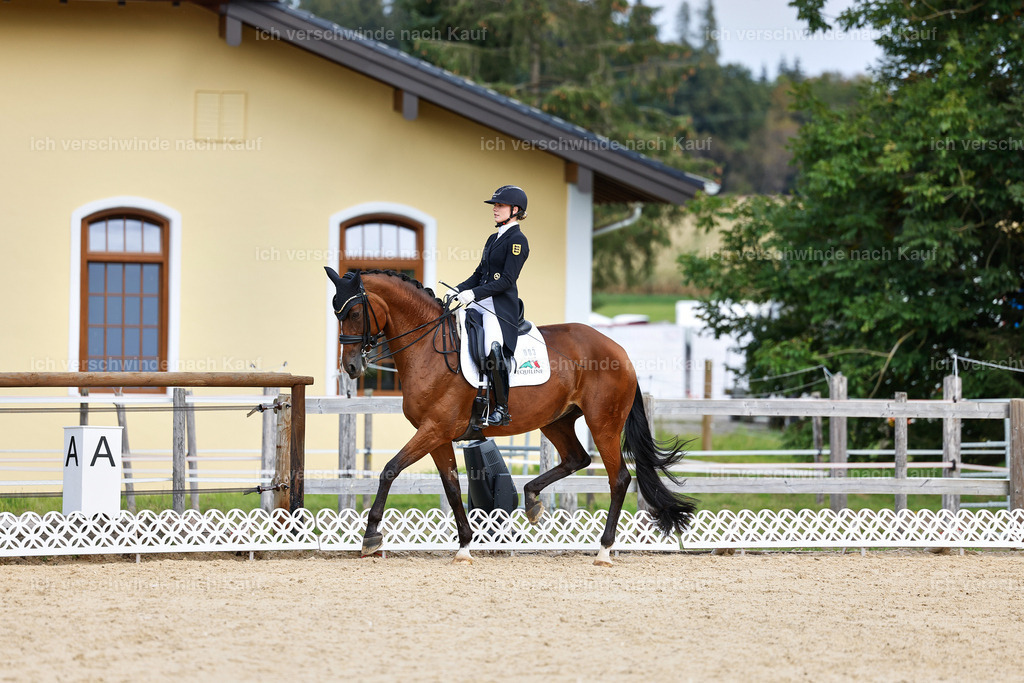 11-003-Dressur S___-StoibPH-1065 | working equitationturnier fotograf videograf stoibphotography marixx film working equitation deutschland reitsport turnierfotografie eventfotografie equestrian events