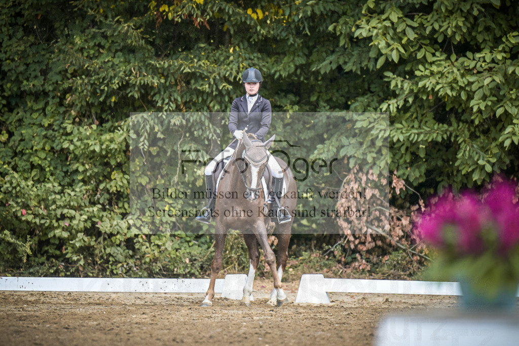 DOS_4992 | Entdecke hochwertige Reitturnierfotos von Foto Oger. Professionell, emotional und authentisch – jetzt Lieblingsmomente im Shop bestellen.Deutschlandweite Turnierfotografie. - Realisiert mit Pictrs.com
