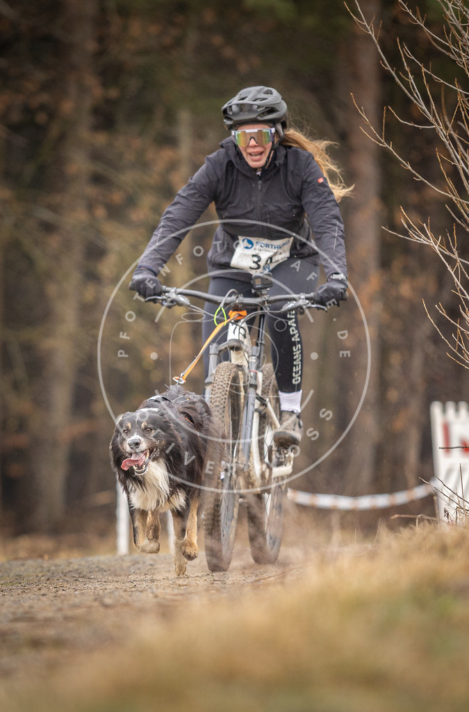 DV3A3349 | Hundefotografie, Tierfotograf, Pfotenfotografie, Fotoshooting Hund, Hunde Portrait, Hundesport, Hundeportraits, Heideshooting, Hunde, Sportfotograf, Hundefotograf, Turnierhundsport, THS,  - Realisiert mit Pictrs.com