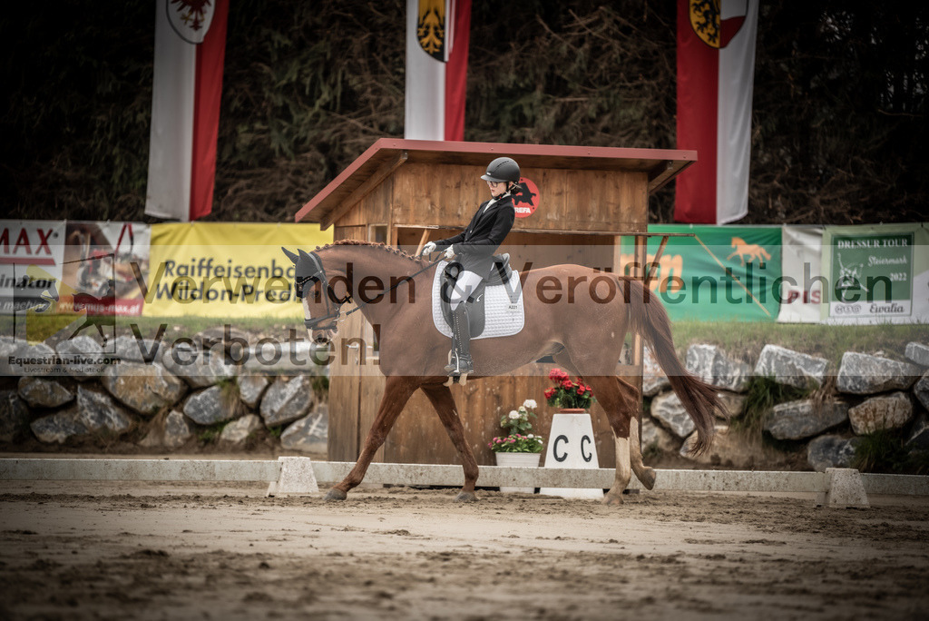 DSC_0202 | equestrian-live-com