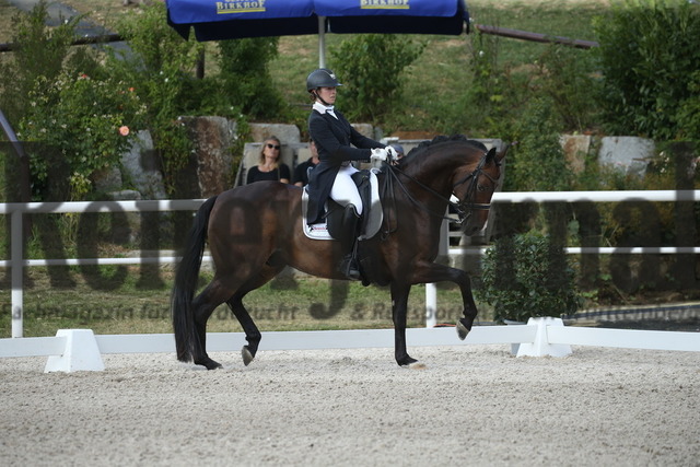 Birkhof_2022_GrandPrixSpecial_Nicole Isser_DiCaprio 4 (8) | Alle Fotos der Reiterjournal Fotografin Doris Matthaes im Reiterjournal Online-Fotoshop. - Realisiert mit Pictrs.com