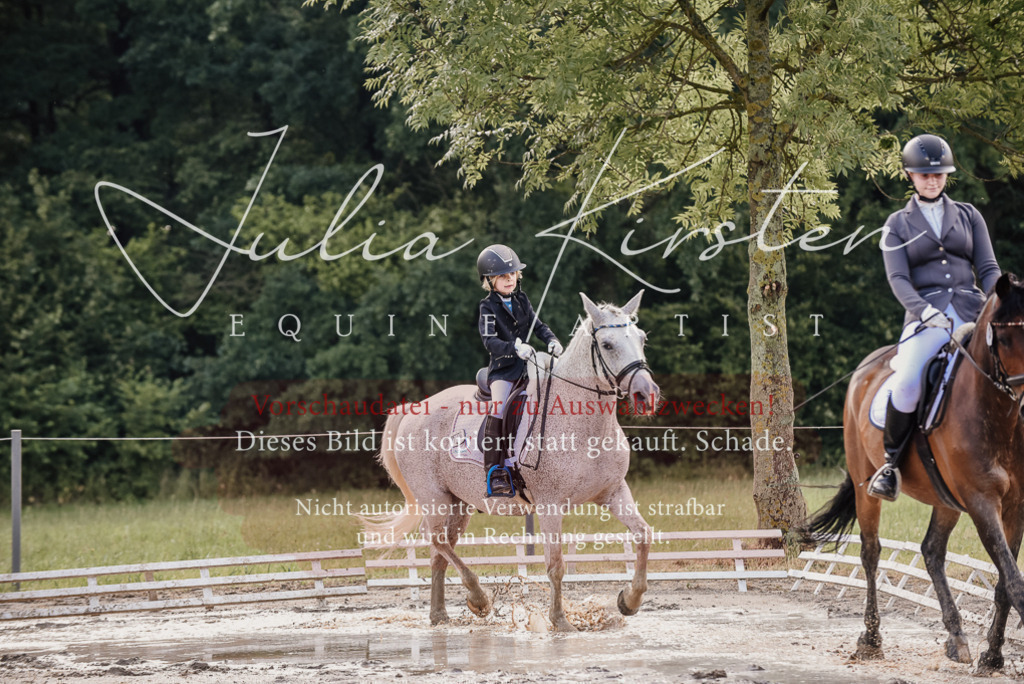 DSC_8366 | Pferde- und Turnierfotografie in Westsachsen. Pferdeportraits, Auftragszeichnungen und intuitive Kunst.