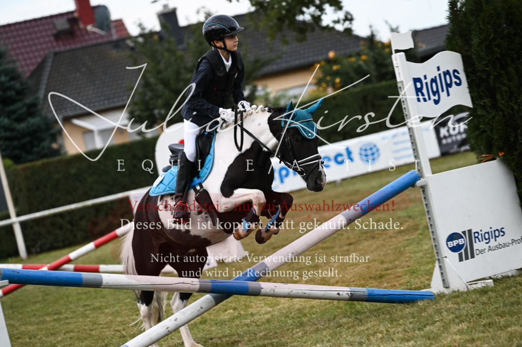 DSC_5461 | Pferde- und Turnierfotografie in Westsachsen. Pferdeportraits, Auftragszeichnungen und intuitive Kunst.
