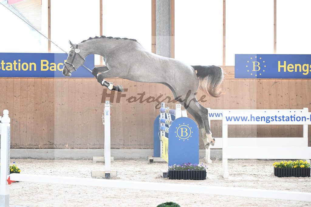 Kat-Nr. 9 nn v. Vingino_Schindele_5250235 | hf-fotografie - Realisiert mit Pictrs.com
