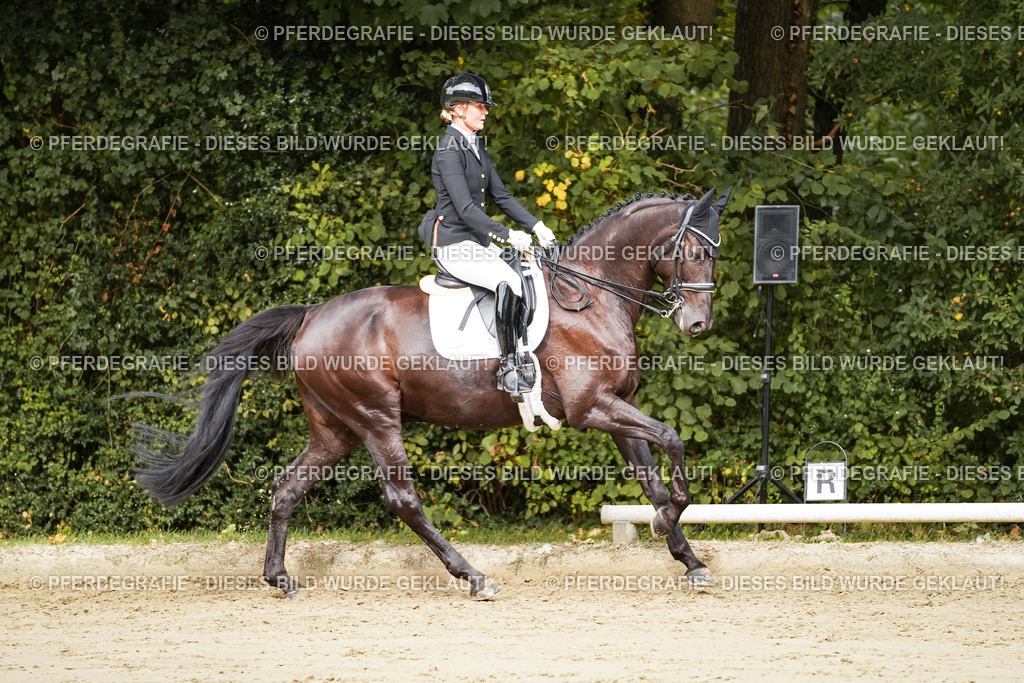 DSC02308 | Pferdegrafie