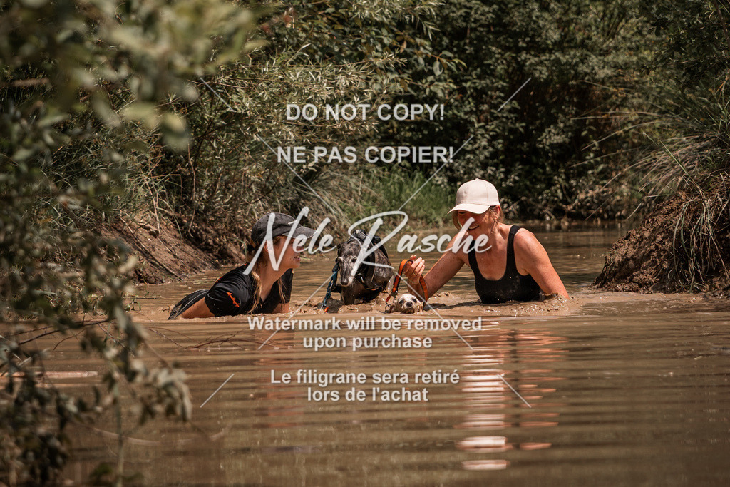 nelerasche_Hoope2026_So1400-1430_121 | nelerasche