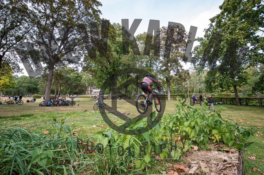 DKP-4035 | Drew Kaplan Photography