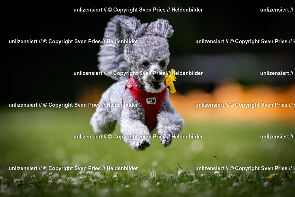 Sven Pries | 2025-05-29 - Pudelrennen KA-Durlach - Realisiert mit Pictrs.com