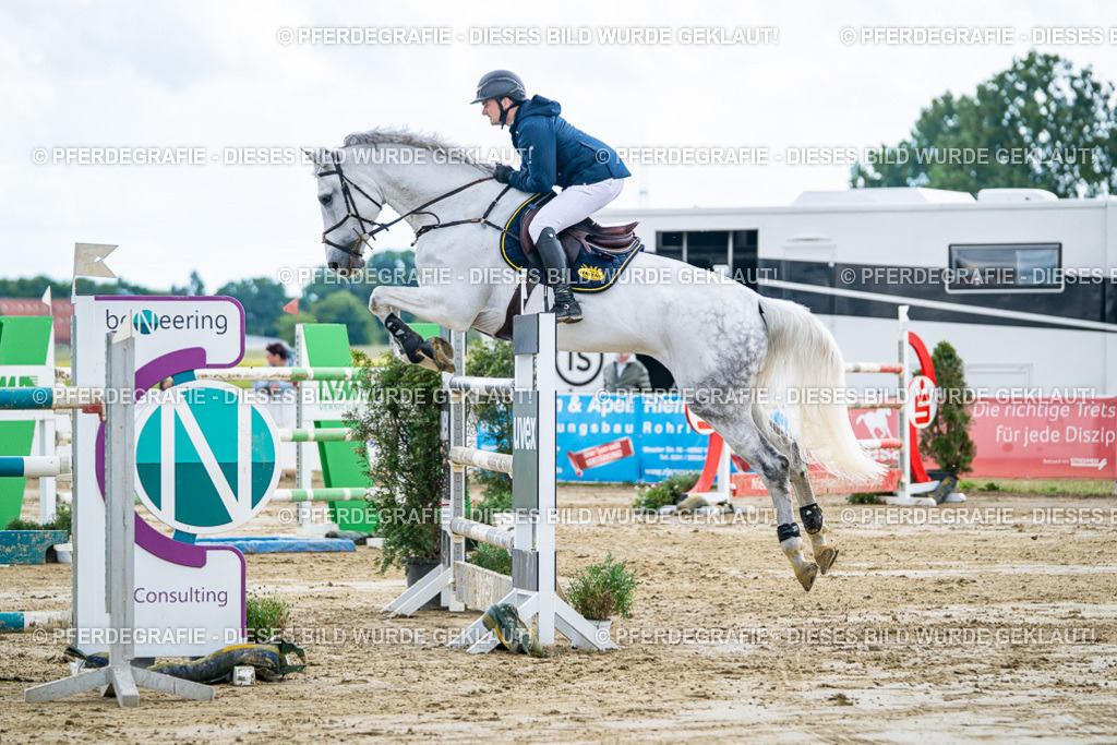 DSC05478 | Pferdegrafie