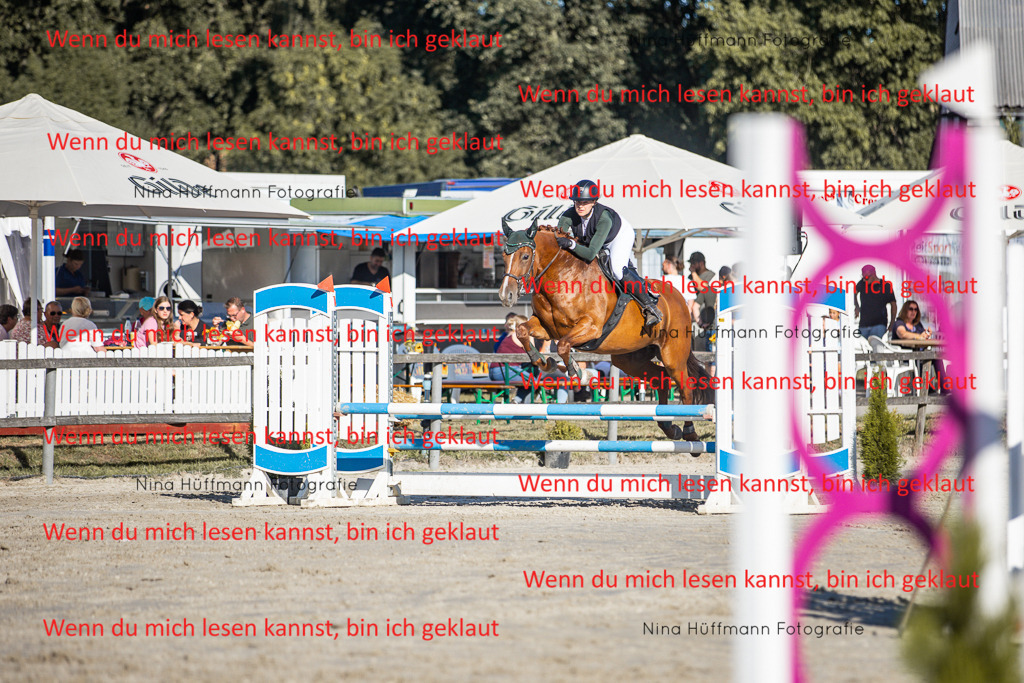 BK1A7620 | Turnierbilder Turnierfotos Nina Hüffmann Turnierfotografie Pferdefotografie Tierzeichnung Haustierzeichnung Pferdezeichnung Hundezeichnung Videograf  - Realisiert mit Pictrs.com