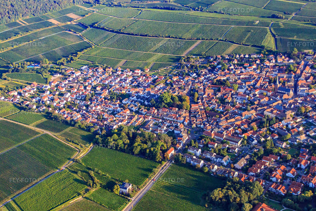 Luftbild: Habergartenstr in Deidesheim im Bundesland Rheinland-Pfalz in Deutschland. Foto: IMG_44390.jpg vom 20.08.2011 durch Werner Riehm/FLY-FOTO.de