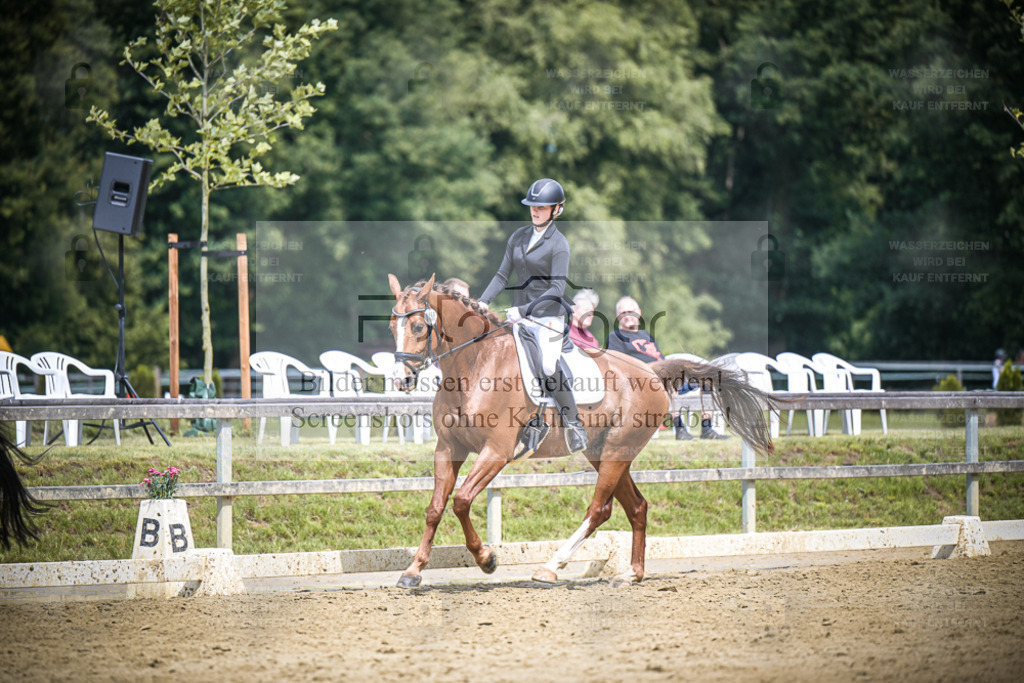 DOS_5906 | Entdecke hochwertige Reitturnierfotos von Foto Oger. Professionell, emotional und authentisch – jetzt Lieblingsmomente im Shop bestellen. - Realisiert mit Pictrs.com