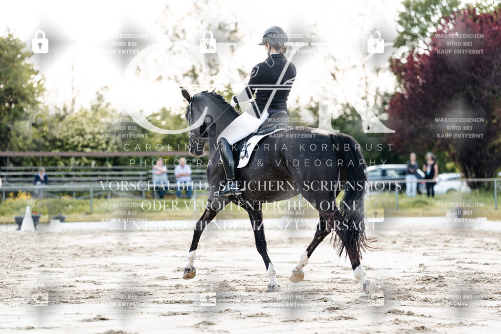 CK909454 | Turnierfotografie Pferdefotografie Trier Rheinland-Pfalz Pferdesport Reitsport Tierfotografie Sportfotografie Pferdevideo Pferdevideografie Equestrianvideography equestrianphotography  - Realisiert mit Pictrs.com