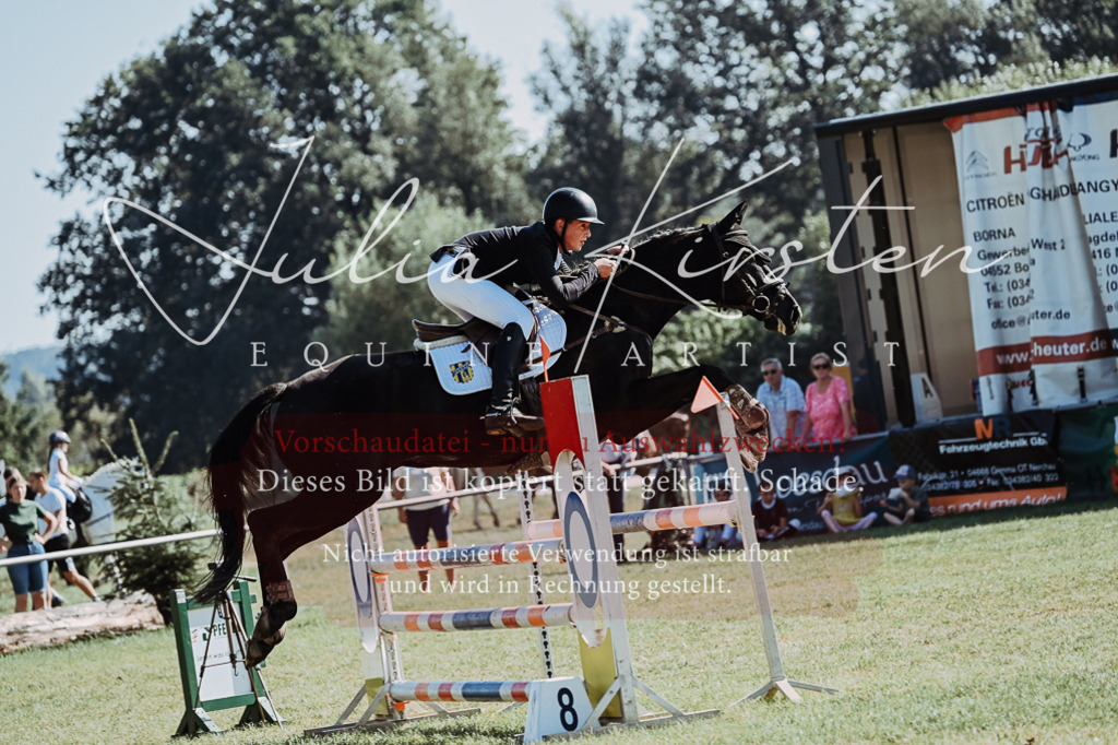 DSC_5744 | Pferde- und Turnierfotografie in Westsachsen. Pferdeportraits, Auftragszeichnungen und intuitive Kunst.