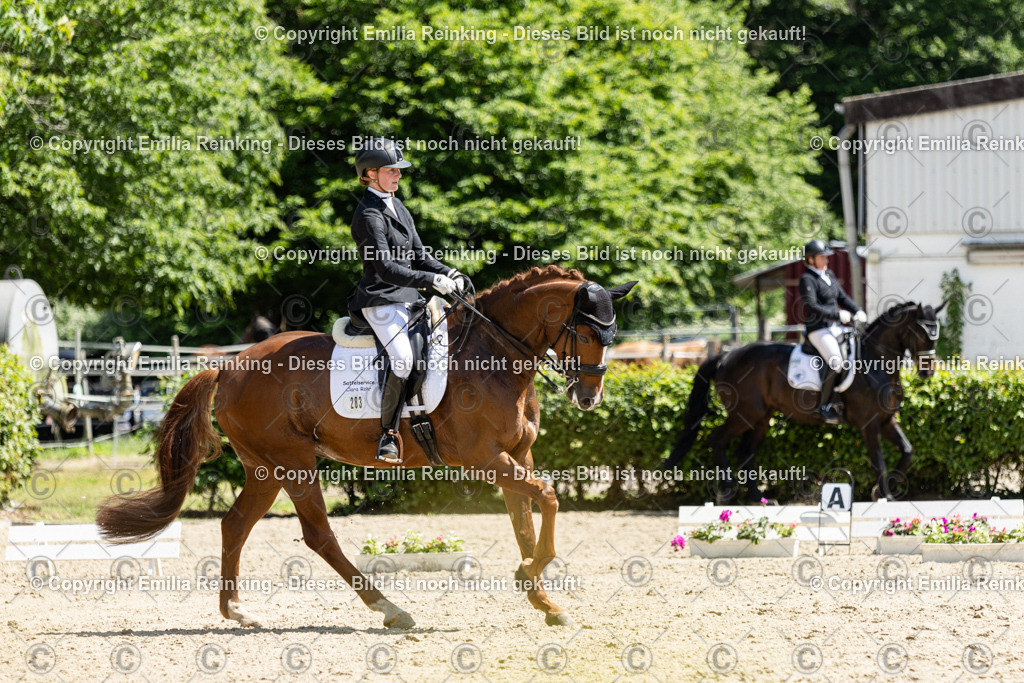 CL5A9198 | Emilia Reinking Fotografie - Realisiert mit Pictrs.com