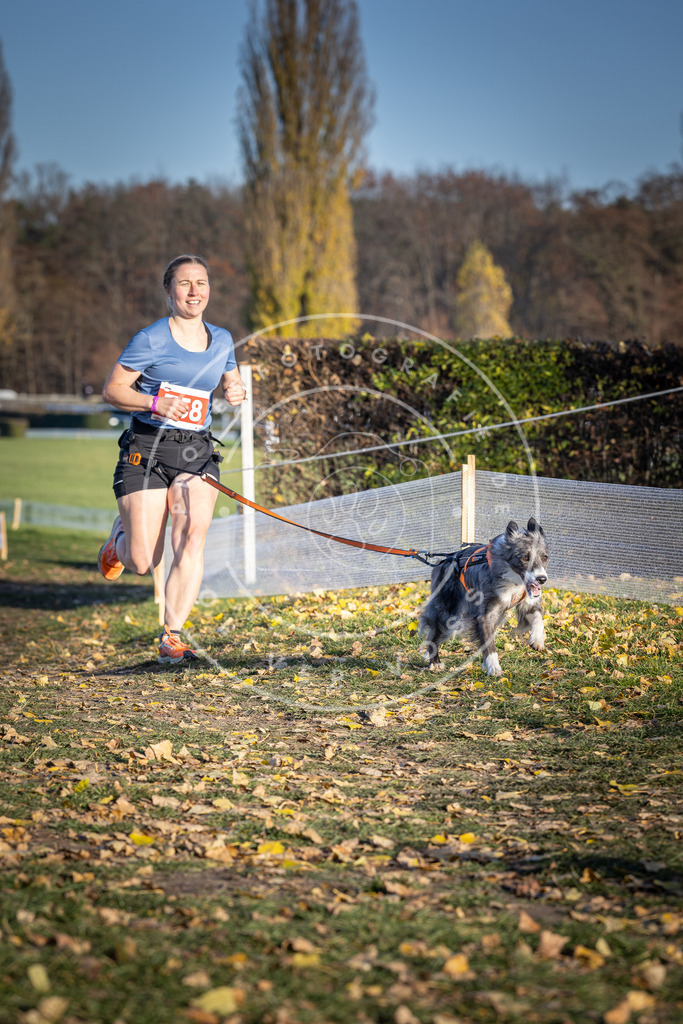 CaniXpix_DV3A2636 | Hundefotografie, Tierfotograf, Pfotenfotografie, Fotoshooting Hund, Hunde Portrait, Hundesport, Hundeportraits, Heideshooting, Hunde, Sportfotograf, Hundefotograf, Turnierhundsport, THS,  - Realisiert mit Pictrs.com