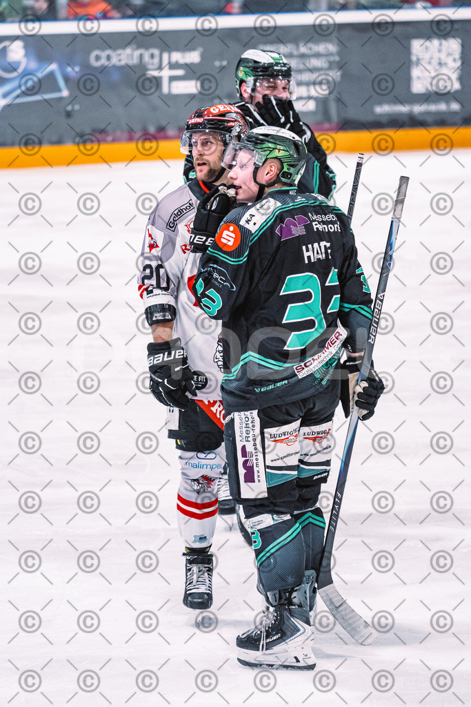 Alligators_vs_Memmingen_05_12_2025-136 | Höchstadt Alligators Fotogalerie: Eishockey-Action aus Franken. Professionelle Spielfotos, Portraits & Stadionbilder zum Download. Jetzt entdecken! - Realized with Pictrs.com