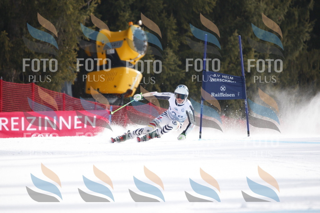 D8161 | holidayphoto