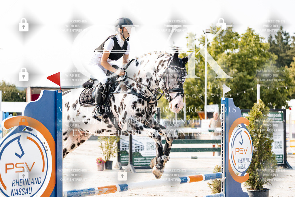 CK902804 | Turnierfotografie Pferdefotografie Trier Rheinland-Pfalz Pferdesport Reitsport Tierfotografie Sportfotografie Pferdevideo Pferdevideografie Equestrianvideography equestrianphotography  - Realisiert mit Pictrs.com