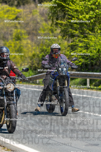 MSFotoServiceXXX343 | MSFotoService - Realisiert mit Pictrs.com
