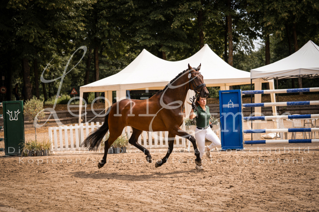 3.Fr00107 | Leoni Ertmer Photography - Realisiert mit Pictrs.com