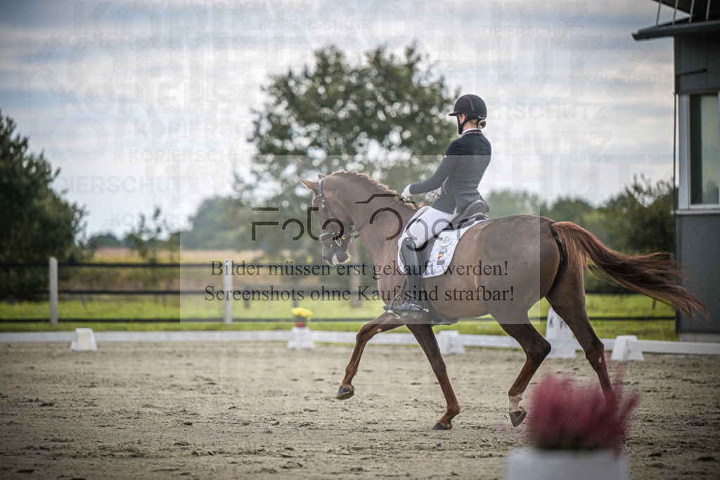 DOS_1771 | Entdecke hochwertige Reitturnierfotos von Foto Oger. Professionell, emotional und authentisch – jetzt Lieblingsmomente im Shop bestellen.Deutschlandweite Turnierfotografie. - Realisiert mit Pictrs.com