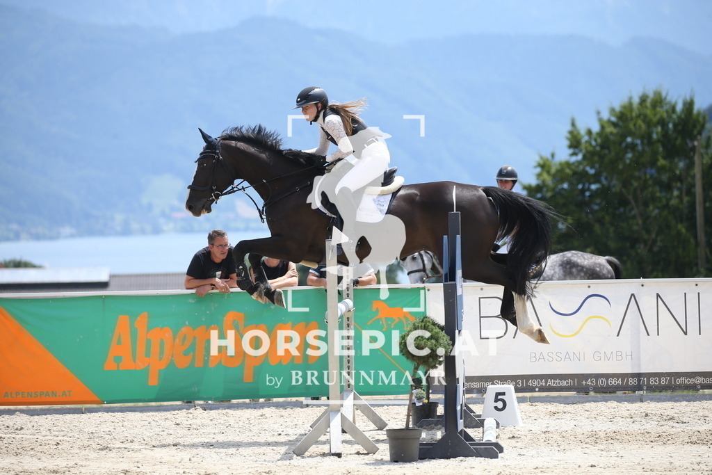 DL2Q2474 | Willkommen bei Brunnmayr - Design & Fotografie – Ihrem Spezialisten für Reitturniere und Pferdeveranstaltungen in Oberösterreich, Salzburg und Bayern! Seit über 17 Jahren sind wir leidenschaftlich dabei.