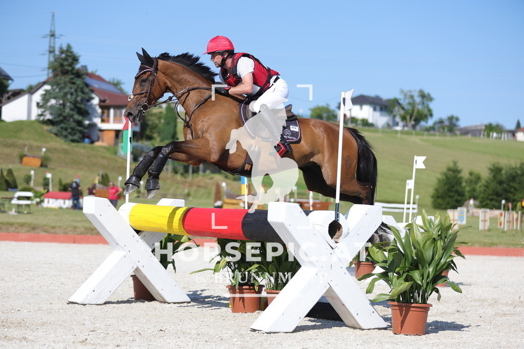 0P6A6443 | Willkommen bei Brunnmayr - Design & Fotografie – Ihrem Spezialisten für Reitturniere und Pferdeveranstaltungen in Oberösterreich, Salzburg und Bayern! Seit über 17 Jahren sind wir leidenschaftlich dabei.