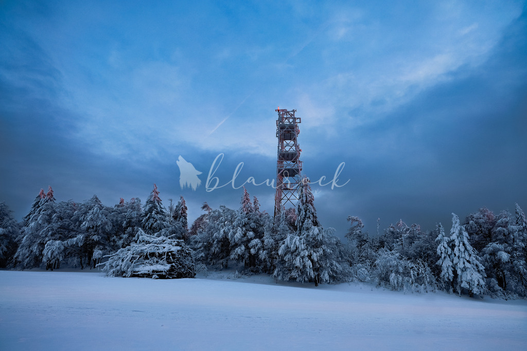 Natur_00008 | Sportbilder, Sportfotograf, Hochzeits- und Eventfotografin, Flugshows, Portraits und Tiershooting, Aviation, Downhill, Nationalleague, Swissleague, International