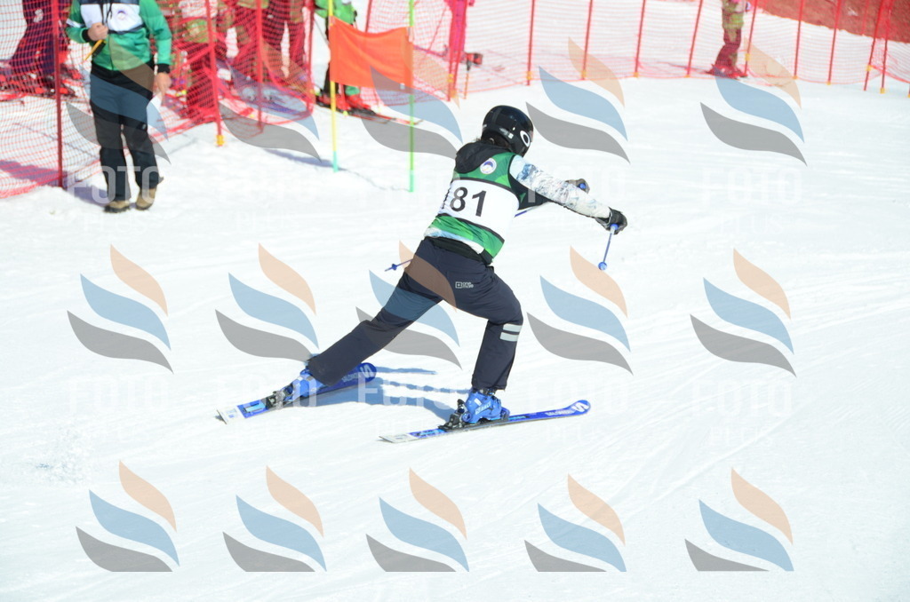 C6409 | holidayphoto