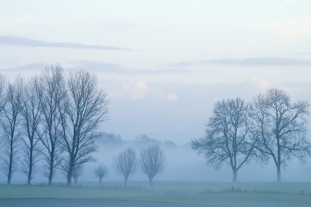 081207-052 | Europa, DEU, Deutschland, Nordrhein Westfalen, NRW, Rheinland, Niederrhein, Huenxe, Naturpark Hohe Mark, Landschaft, Lippeaue, Auenlandschaft, Typische Flusslandschaft, Morgenstimmung, Nebel, Dunst, Baeume, Pappeln, Kategorien und Themen, Natur, Umwelt, Landschaft, Jahreszeiten, Stimmungen, Landschaftsfotografie, Landschaften, Landschaftsphoto, Landschaftsphotographie, Naturschutz, Naturschutzgebiete, Landschaftsschutz, Biotop, Biotope, Landschaftsschutzgebiete, Landschaftsschutzgebiet, Oekologie, Oekologisch, Typisch, Landschaftstypisch, Landschaftspflege....[Fuer die Nutzung gelten die jeweils gueltigen Allgemeinen Liefer-und Geschaeftsbedingungen. Nutzung nur gegen Verwendungsmeldung und Nachweis. Download der AGB unter http://www.image-box.com oder werden auf Anfrage zugesendet. Freigabe ist vorher erforderlich. Jede Nutzung des Fotos ist honorarpflichtig gemaess derzeit gueltiger MFM Liste - Kontakt, Uwe Schmid-Fotografie, Duisburg, Tel. (+49).2065.677997, ..archiv@image-box.com, www.image-box.com] - Realisiert mit Pictrs.com