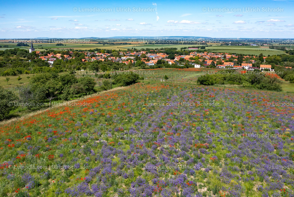 10049-52004 - Luftbild Eilenstedt | Stockfoto und Bilderpool mit Bildmaterial aus Deutschland, dem Harz, Halberstadt, Quedlinburg, Wernigerode und weltweit. Qualitativ hochwertige und professionelle Fotos anschauen und kaufen. - Realisiert mit Pictrs.com