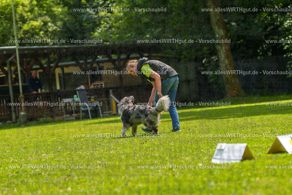 @allesWIRTHgut_Tierfotografie - www.allesWIRTHgut.de - 7R504826 | Professionelle Tierfotografie in Mönchengladbach von Daniel Wirth (allesWIRTHgut). Liebevolle & natürliche Bilder von Hunden & Katzen für unvergessliche Erinnerungen.